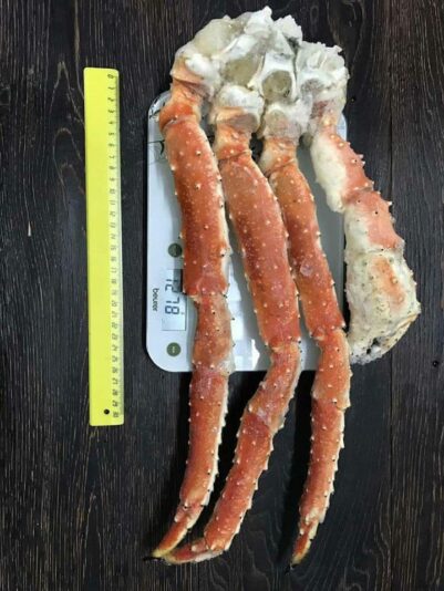 38292863_296547501094938_1044470122934173696_n