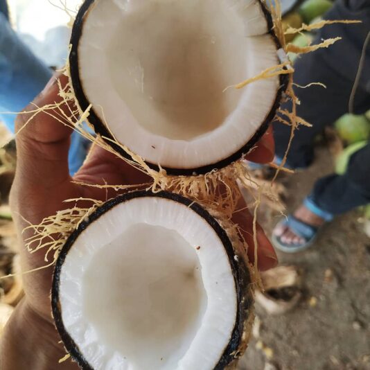 0256A7FC-AE2A-41FC-BFC4-46C6A8C8303B