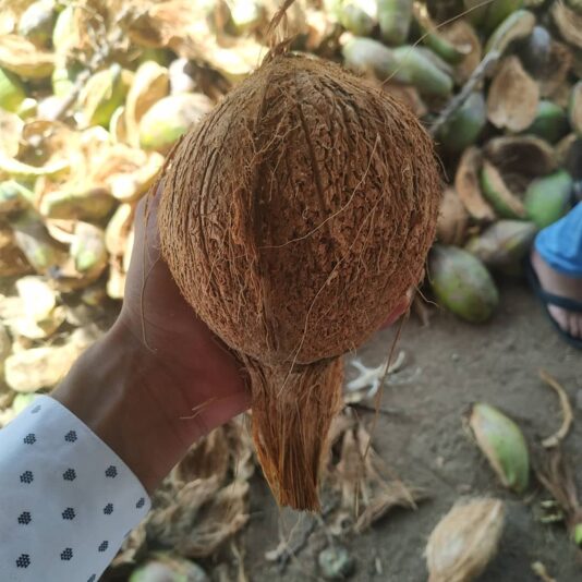 A9744588-13CA-4669-B68C-2E0CC1AC5178