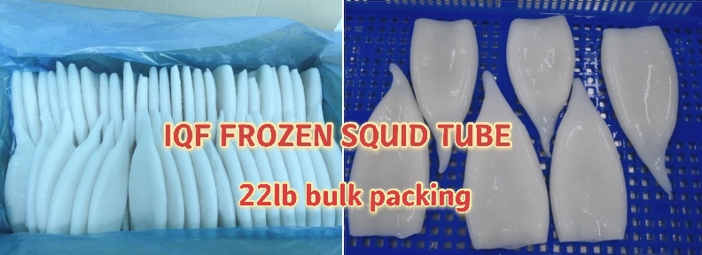 0(~LBY08Q1$IL3_HCMY9G~L_mh1625555354310