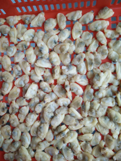 QQ截图20210810150217