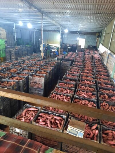 86e129ac478bb0d5e99a