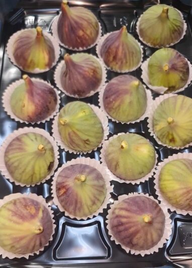 WhatsApp Image 2021-08-02 at 14.48.38