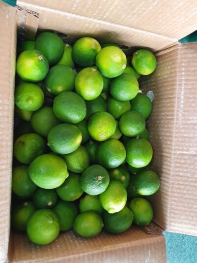Seedless Lime - Long An