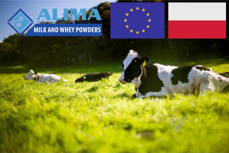 WhatsApp Image 2021-09-22 at 12.11.34