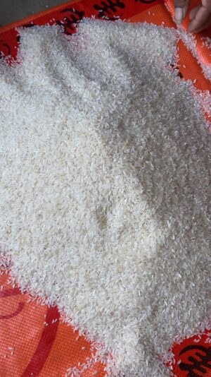 WhatsApp Image 2021-09-22 at 4.28.21 PM