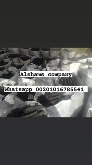 240233156_10223457242852773_3014991586607391229_n - Copy