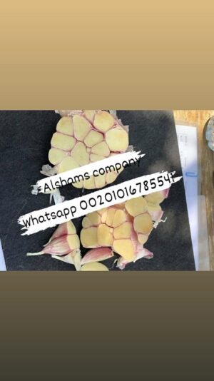 240284296_10223428398051671_8986942730034547140_n