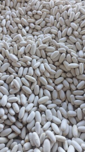 WhatsApp Image 2021-05-07 at 12.43.53 (2)