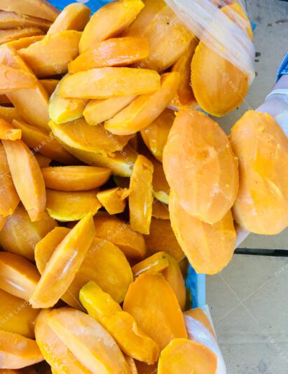 14519969715845029260