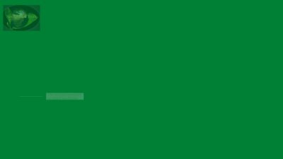 Suppliers Of Seafood From Mozambique