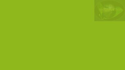 We are suppliers of quality organic peanuts