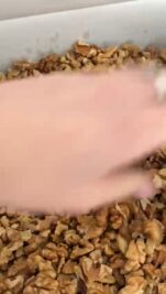 WhatsApp Video 2022-02-08 at 15.52.18