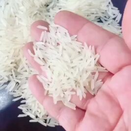 VID_61920711_185325_249