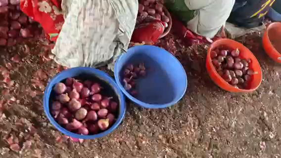 CB6148FE-A0D2-4DC9-9329-FB2A4947FA8C