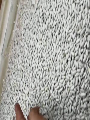 WhatsApp Video 2021-09-30 at 11.09.03 AM (1)