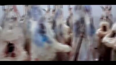 51649028_343514086252892_8353525255427325952_n