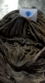 WhatsApp Video 2021-10-30 at 3.29.57 PM