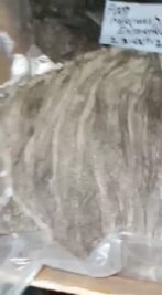 WhatsApp Video 2021-10-30 at 3.30.47 PM