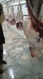 WhatsApp Video 2021-11-01 at 6.16.29 AM (3)