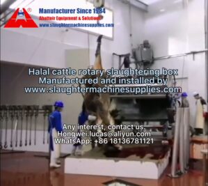 halal cattle rotary slaughtering box cow abattoir slaughtering equipment manufacturer