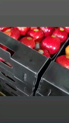 VID_56630220_173455_540