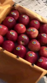 IMG_20211222_181711_827