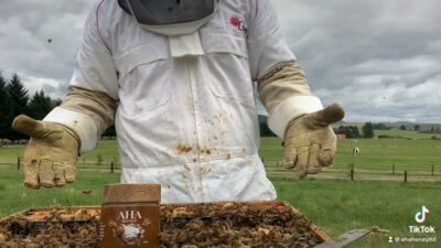 export_1678259016956