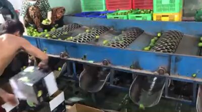 5F20306A-895F-4A8A-9940-34830D485DD2