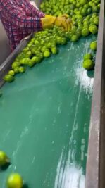 6AA63FB6-4341-4C43-9554-DF5AEB37E9F5