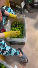 907364B5-7C47-43ED-B881-2BF1A0345EF0