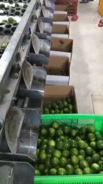 686609BC-7321-4811-9995-D6CA002E6ABC