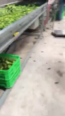 8BDD596F-097C-4A75-990C-4EB865008BF3