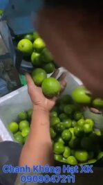 C8105E20-AD2A-4849-8AC3-089337BE43FB