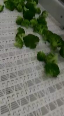 095EED46-B1C4-49AD-870D-141BBB1A7E35