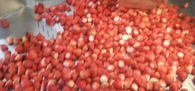 WhatsApp Video 2021-01-19 at 8.15.46 AM