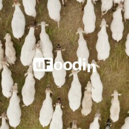 Category Meat and poultry