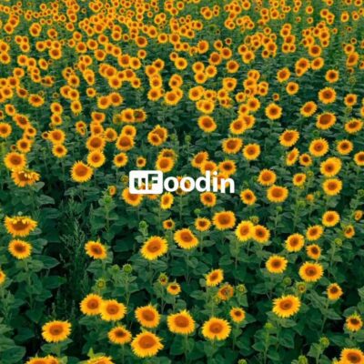 CATEGORY FAT AND OIL