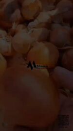 WhatsApp Video 2024-04-02 at 10.54.57 AM