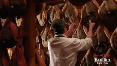 __Rosa-dell-Angelo-Libro-ver3_1