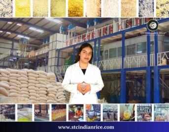 About STC Indian Rice Mills Video