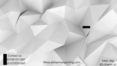 WhatsApp Video 2024-04-21 at 14.11.56_deb76889