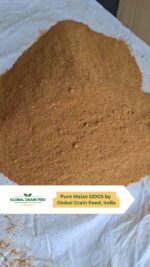 Maize DDGS - Global Grain Feed