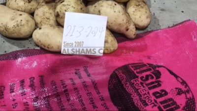 WhatsApp Video 2024-03-23 at 3.04.47 PM