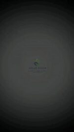 WhatsApp Video 2025-02-23 at 2.07.40 PM