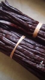 2024-03-17-182526718