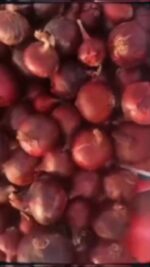 WhatsApp Video 2024-09-11 at 4.01.56 PM