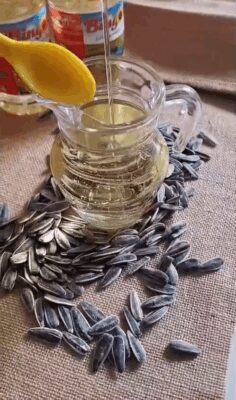 WhatsApp Video 2025-11-26 at 12.51.36