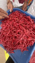 059909e6-bfa0-4658-b302-78e02e36bd2f