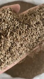 0967a81e-e001-4b30-aa22-572e5f026187